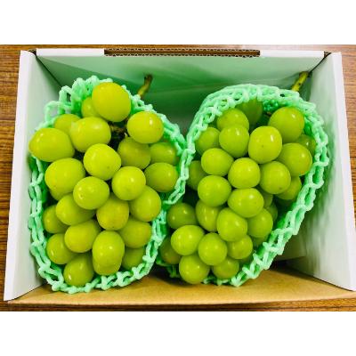 南アルプス市 ふるさと納税 山梨県産シャインマスカット 2 3房入り 1 3kg以上 さとふる 通販 Yahoo ショッピング