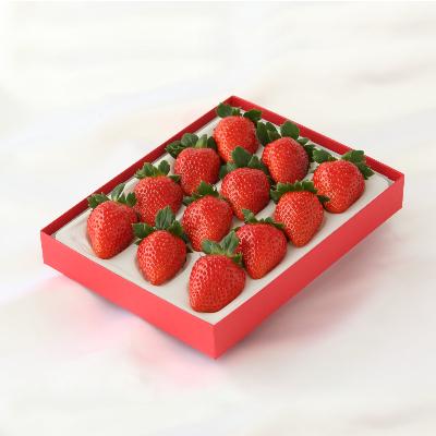 ふるさと納税 紀の川市 【産直】まりひめ　いちご　和歌山県紀の川市　1箱(400g以上) | 