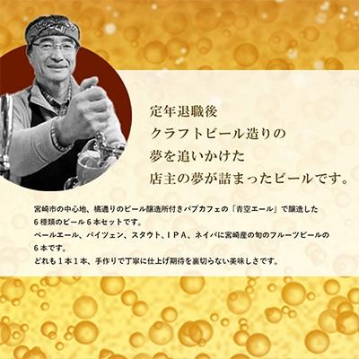 ふるさと納税 宮崎市 青空エール　500mlペットボトル6本セット