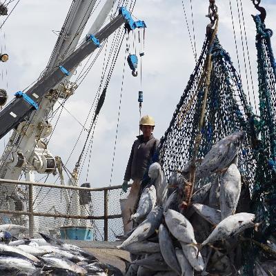 ふるさと納税 指宿市 【老舗鰹節屋 山吉國澤百馬商店】体に優しい無添加だしパック6種セット(013-1938)