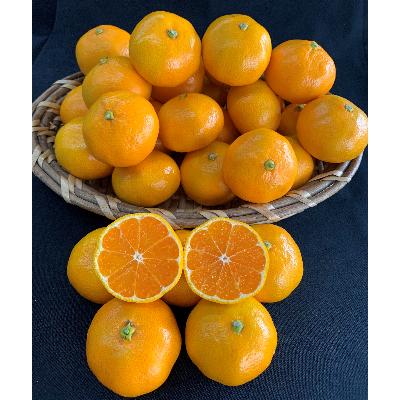 3000円 感謝価格 ふるさと納税 有田川町 数量限定 有田みかん 赤秀 2sサイズ 2 8kg 2箱 マルシ農園