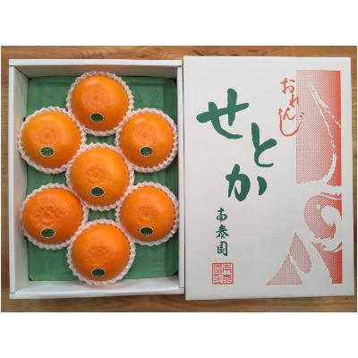 ふるさと納税 有田川町 『柑橘の大トロ』ハウスせとか厳選大玉7玉入 和歌山県有田川町産