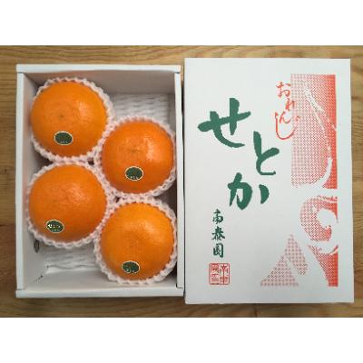 ふるさと納税 有田川町 ハーフ化粧箱『柑橘の大トロ』ハウスせとか厳選4玉入 和歌山県有田川町産