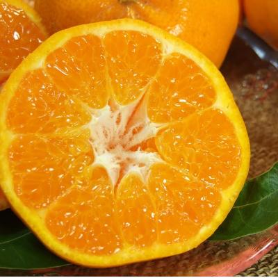 ふるさと納税 日高町 はるみ 秀品 [約4kg]和歌山県有田産春みかん(果実サイズおまかせ)