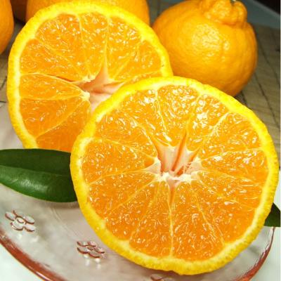 ふるさと納税 日高町 デコ不知火 秀品 [約5kg]和歌山県有田産春みかん(果実サイズおまかせ)