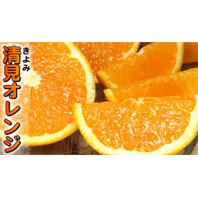 ふるさと納税 日高町 清見オレンジ 秀品 [約8kg]和歌山県有田産春みかん(果実サイズおまかせ)
