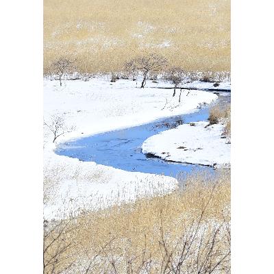 ふるさと納税 鶴居村 水の大地 釧路湿原特別保護区トレッキング体験　チケット1枚1名様 ヒッコリーウィンド 北海道鶴居村_2