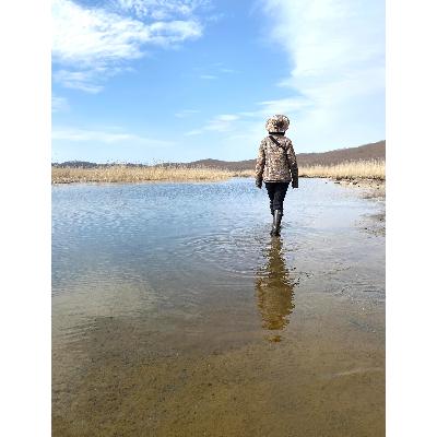 ふるさと納税 鶴居村 水の大地 釧路湿原特別保護区トレッキング体験　チケット1枚1名様 ヒッコリーウィンド 北海道鶴居村_3