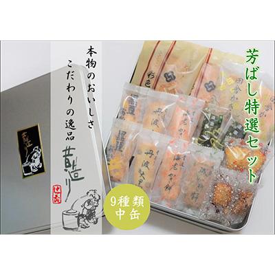 ふるさと納税 阪南市 芳ばし特選セット 中缶 おかき9種360g