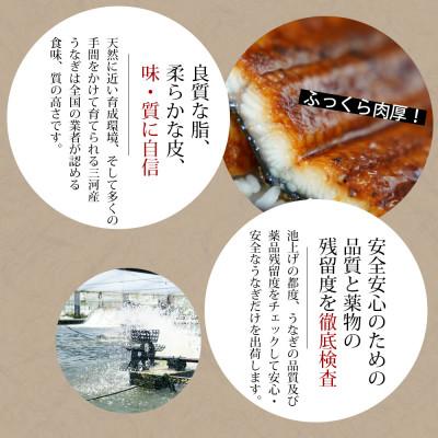 ふるさと納税 西尾市 三河産鰻「蒲焼冷凍2尾」(合計240g以上)・A092-14｜y-sf｜03