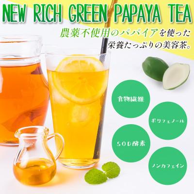 ふるさと納税 新富町 青パパイアを贅沢に使用した新しいお茶『パパイア果実茶』(ティーバッグ20P×3個)