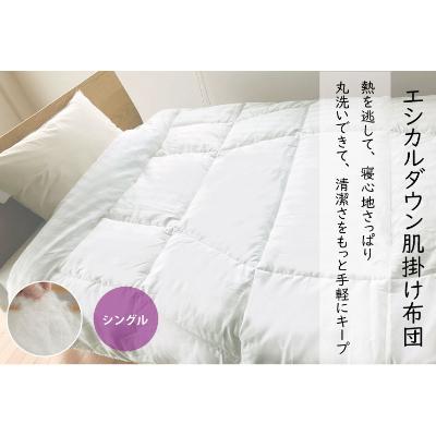 ふるさと納税 福山市 洗える ホコリが出にくい 『肌掛け布団』[シングル]