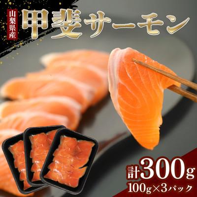 注目ブランド 山梨県 ふるさと納税 名水で育まれた 甲斐サーモン お刺身サーモン冷凍便 300g 5 6人前 日本全国送料無料 Zoetalentsolutions Com