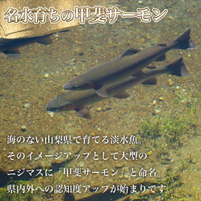 ふるさと納税 山梨県 山梨生まれ『甲斐サーモン』お刺身300g(5〜6人前) 富士の名水で育ったオリジナル品種
