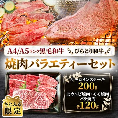 ふるさと納税 平取町 [さとふる限定][A4/A5ランク黒毛和牛]びらとり和牛焼肉バラエティーセット
