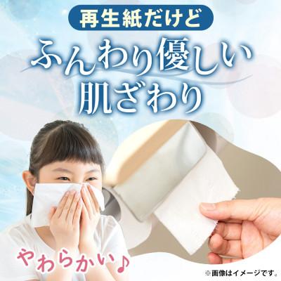 ふるさと納税 倶知安町 北海道 日本ハムファイターズ ボックス