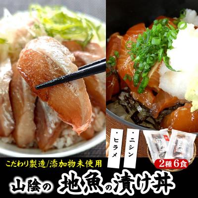 ふるさと納税 新温泉町 魚屋自家製 山陰の海鮮漬け丼(ヒラメ、ニシン)2種×各3パック入 酒の肴に海鮮丼にめし友に