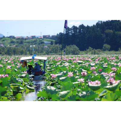 ふるさと納税 栗原市 栗駒山麓ジオガイドチケット(コース5)｜y-sf