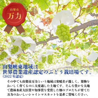 ふるさと納税 山梨市 【2026年発送 先行受付】シャインマスカット2房
