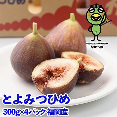 ふるさと納税 中間市 福岡限定!ブランドいちじく「とよみつひめ」約300g×4パック(中間市)