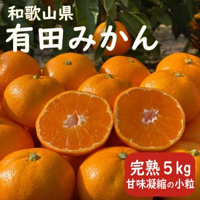 ふるさと納税 有田川町 [先行受付] 甘味凝縮 小粒 有田みかん 5kg 産直43年 5代目 武内園の完熟蜜柑