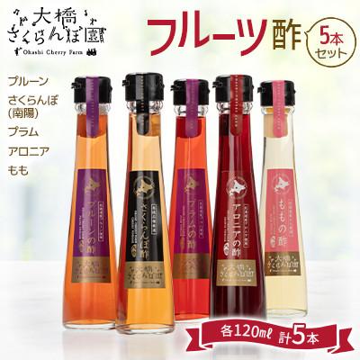 ふるさと納税 芦別市 フルーツ酢5本セット さくらんぼ(南陽)・プラム・プルーン・桃・アロニア