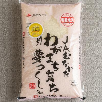 ふるさと納税 大牟田市 果物屋さんが選んだ米「夢つくし」5kg(大牟田)