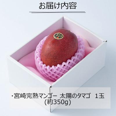 ふるさと納税 宮崎市 宮崎完熟マンゴー・太陽のタマゴ1玉【宮崎市】(R8