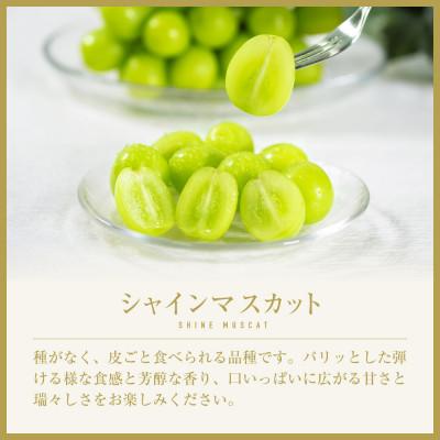 ふるさと納税 南アルプス市 濃珀〜KOHAKU〜 南アルプスの高級シャインマスカット 3房から5房 約1.8kgの画像
