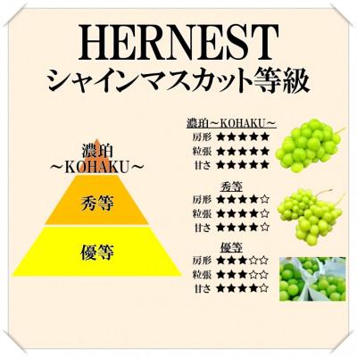 ふるさと納税 南アルプス市 濃珀〜KOHAKU〜 南アルプスの高級シャインマスカット 3房から5房 約1.8kgの画像