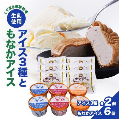 ふるさと納税 葛巻町 FU10 くずまき高原牧場 アイスクリーム もなか セット 詰め合わせ バニラ 山ぶどう ヨーグルト