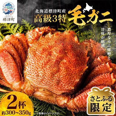 ふるさと納税 標津町 [さとふる限定]高級特特特(3とく)の毛ガニ 約300g〜350g×2杯