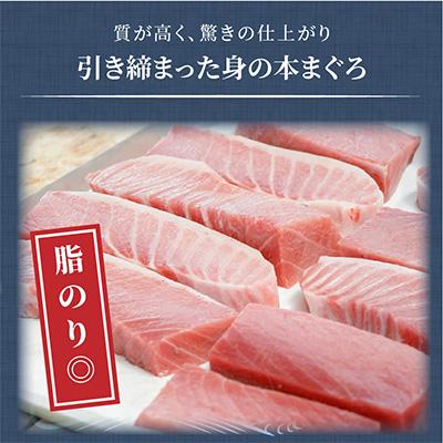 ふるさと納税 松浦市 鷹島産本まぐろ大トロ600g｜y-sf｜03