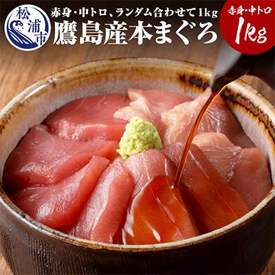 ふるさと納税 松浦市 長崎県松浦市 鷹島産本まぐろ1kg