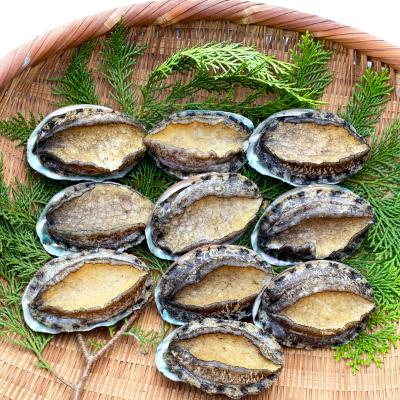 唐津市 ふるさと納税 数量わずか 玄界灘で2年間養殖したプリップリのアワビ10個 ボイル さとふる 通販 Yahoo ショッピング