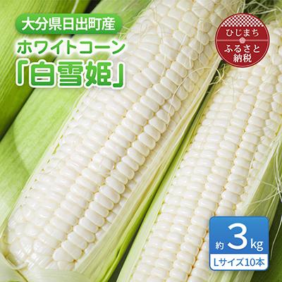 保存版 日出町 ふるさと納税 ホワイトトウモロコシ 白雪姫 50ケース限定 送料無料 Enviro Eec Com