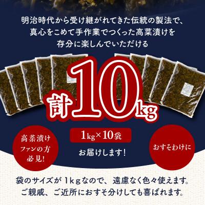 ふるさと納税 久留米市 国産辛子高菜メガセット_1
