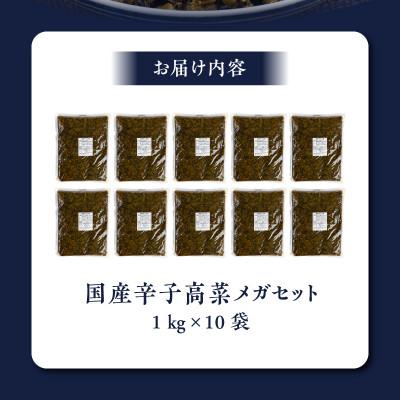 ふるさと納税 久留米市 国産辛子高菜メガセット_3