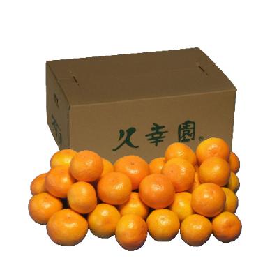 ふるさと納税 湯浅町 完熟有田みかん 3kg(2S〜3L　サイズ混合) |  | 02