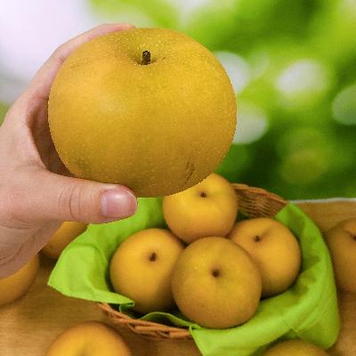 ふるさと納税 高森町 [長野県高森町]9月中旬より順次発送!南信州産 秋月(あきづき) 箱入り5kg
