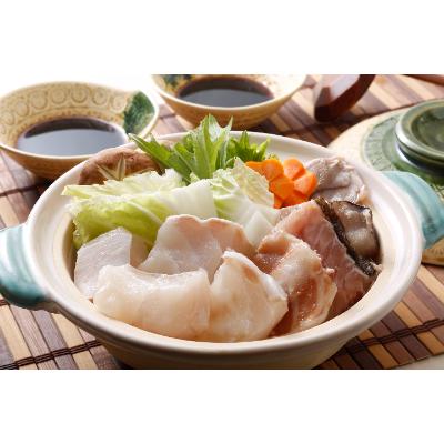 21激安通販 ふるさと納税 佐世保市 長崎産天然クエ鍋 小 Wantannas Go Id