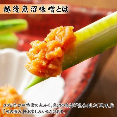 ふるさと納税 南魚沼市 新潟県 南魚沼産 越後魚沼味噌 5kg 木津醸造所|y-sf|02