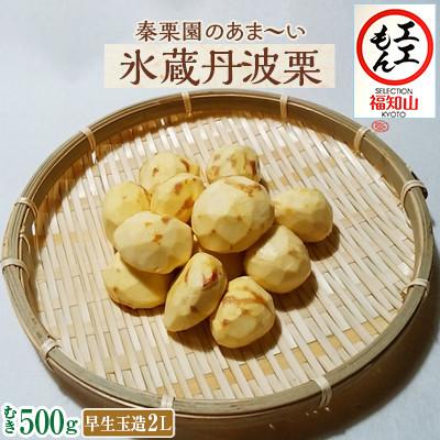 ふるさと納税 福知山市 秦栗園のあま〜い氷蔵丹波栗 早生玉造2L むき500g 大粒[熟成]10月中旬発送