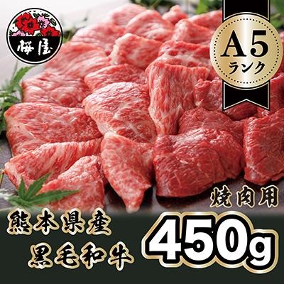 ふるさと納税 益城町 A5ランクのくまもと黒毛和牛 焼肉用 450g 上質