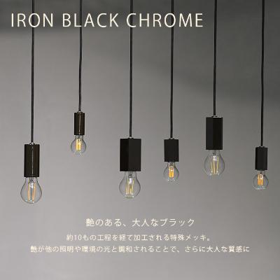 ふるさと納税 瑞浪市 金属加工のプロ集団が作り上げるシーリングライト【CTSH HEXAGON ブラッククロム E-26】_1