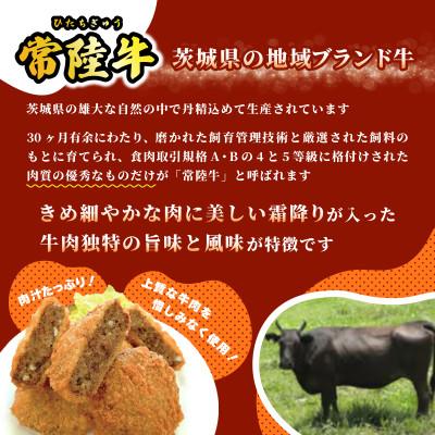 ふるさと納税 ひたちなか市 常陸牛めんちかつ |  | 02