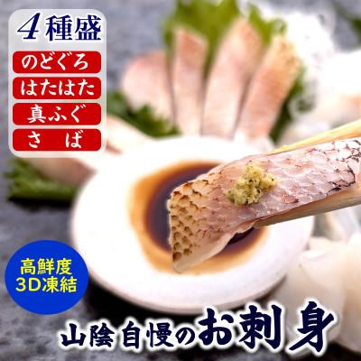 ふるさと納税 新温泉町 山陰のお刺身用魚4点詰合せセット(生サバ、ノドグロ、ハタハタ、フグの4種)