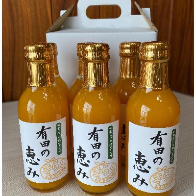 ふるさと納税 有田川町 [みかんジュース]有田の恵み200ml×6本