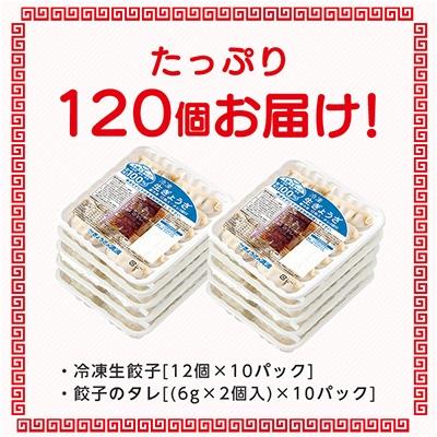 ふるさと納税 坂戸市 冷凍生餃子10パック(120個)　ぎょうざの満洲｜y-sf｜02