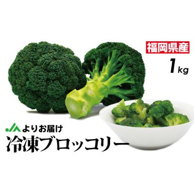 ふるさと納税 福津市 冷凍ブロッコリー1kg(1kg×1袋)[F2256]